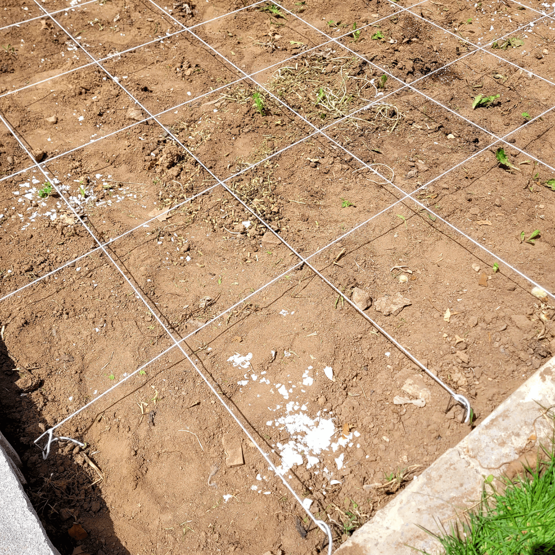 Square Foot Garden Planting Chart: The Easy Way To Plan Yours
