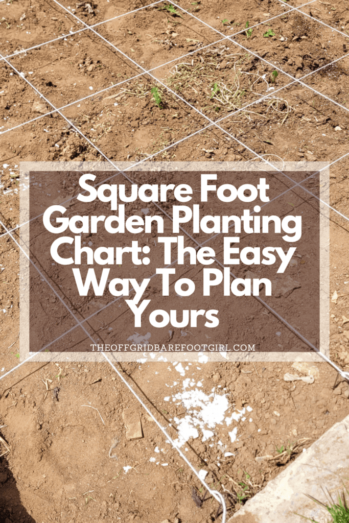 Image illustrates a Pinterest pin of a square foot garden planting chart.