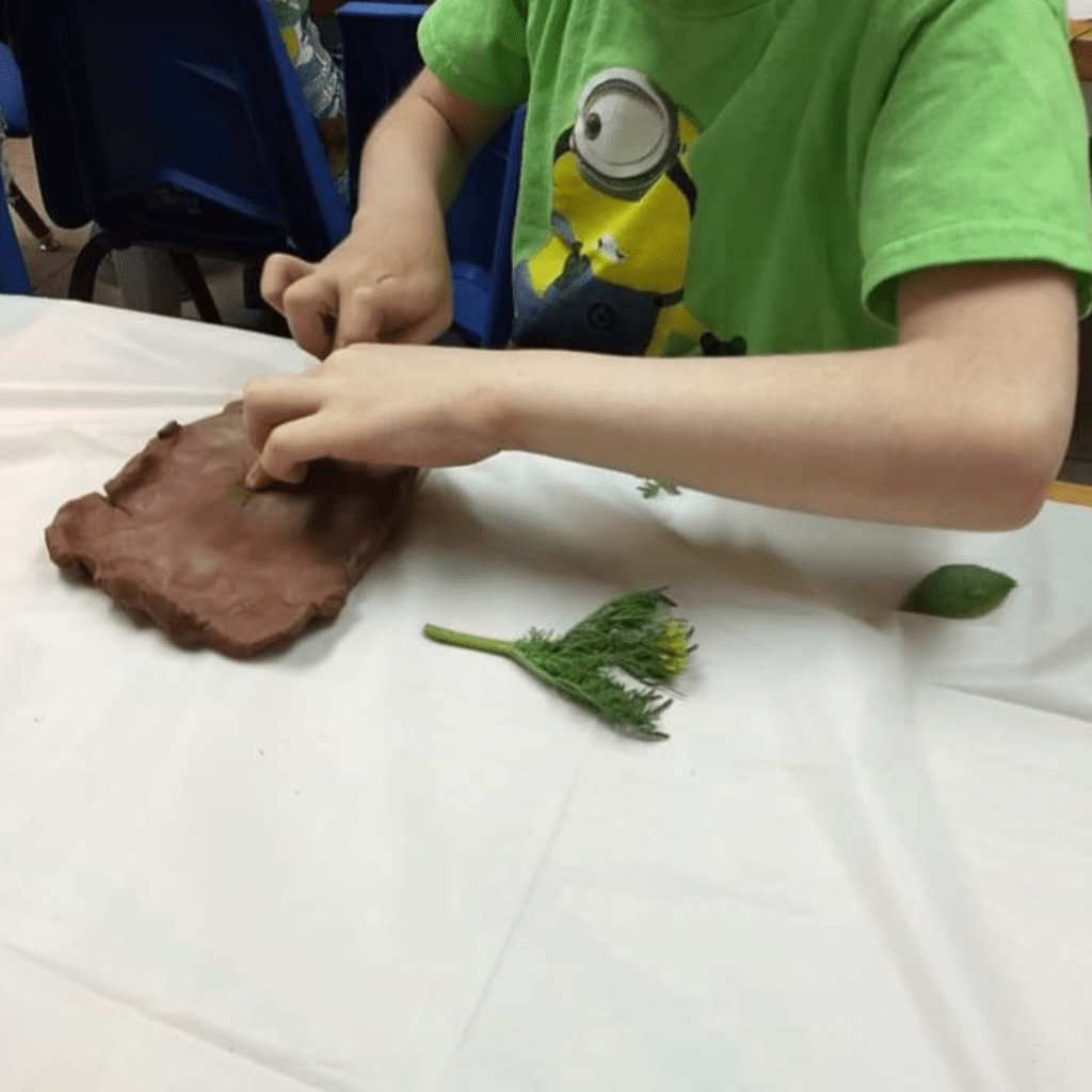 Image illustrates teaching fossils to kids.