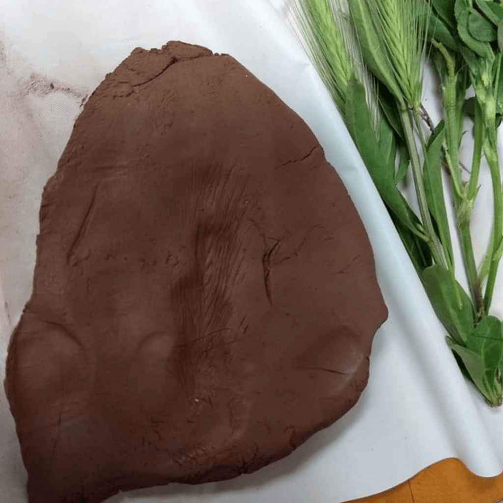 Image illustrates playdough fossils.