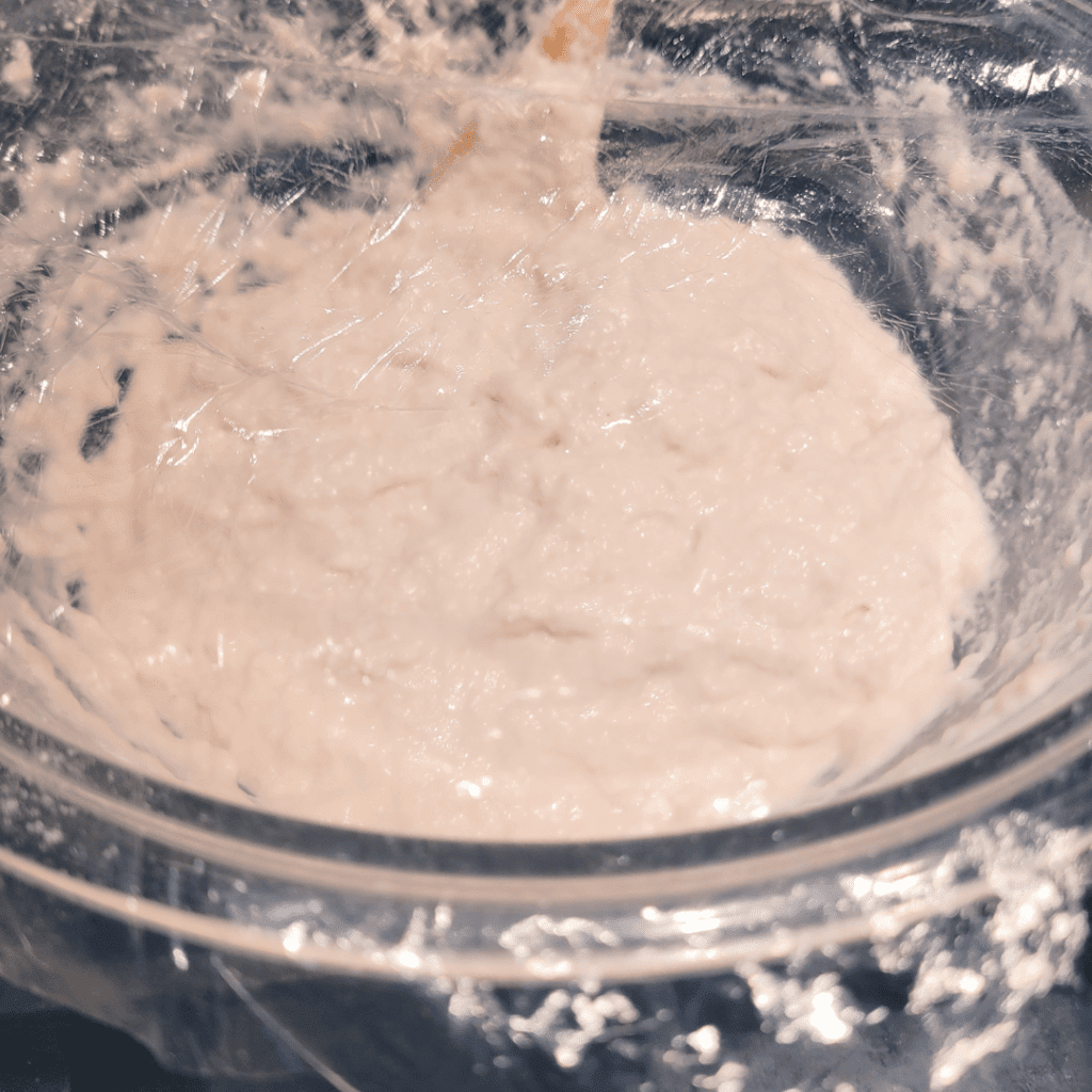 Image illustrates dough for a no knead rustic bread recipe.