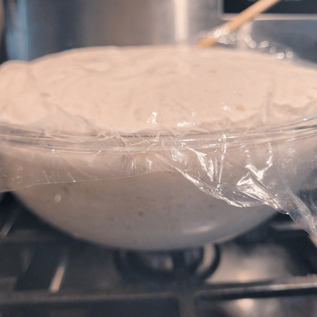 Image illustrates dough for a no knead rustic bread recipe.