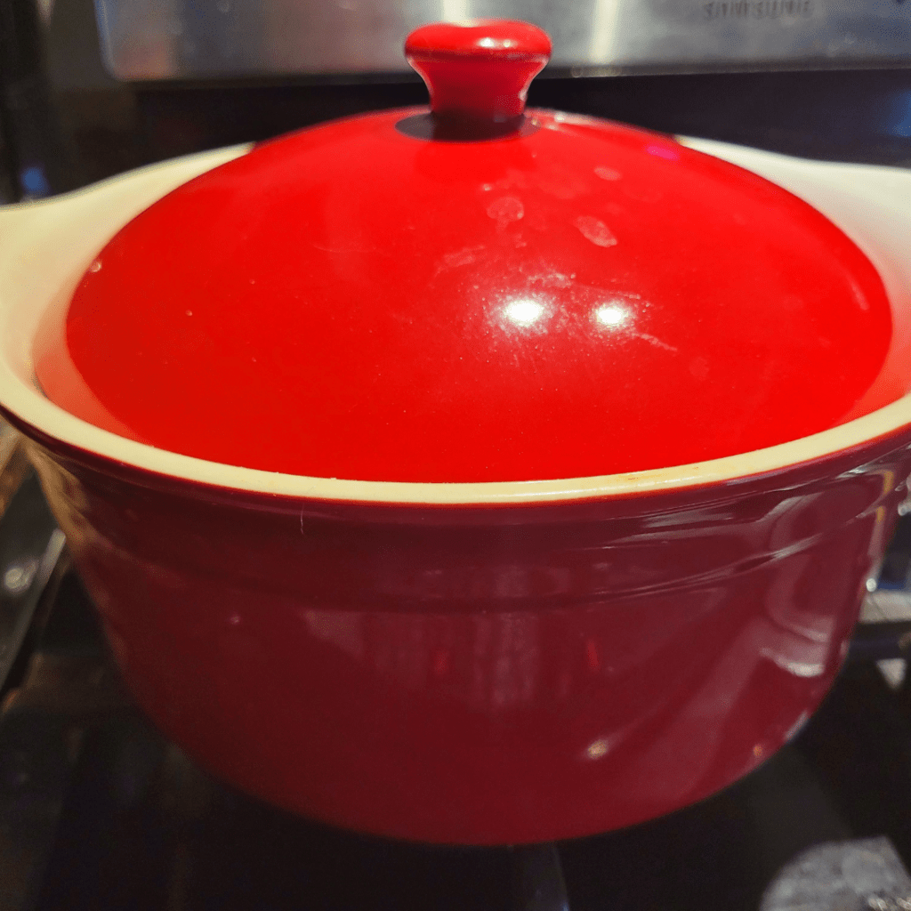 Image illustrates a Dutch oven for a no knead rustic bread recipe.