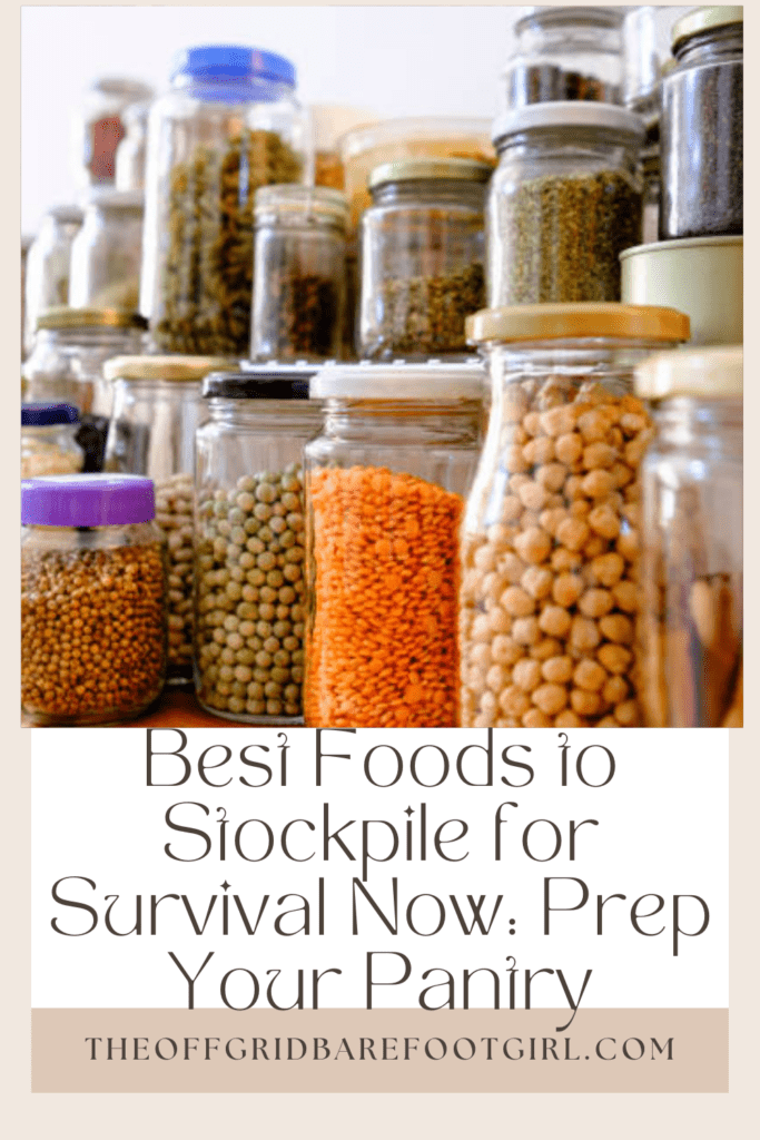 Image illustrates a Pinterest pin of food for the best foods to stockpile.