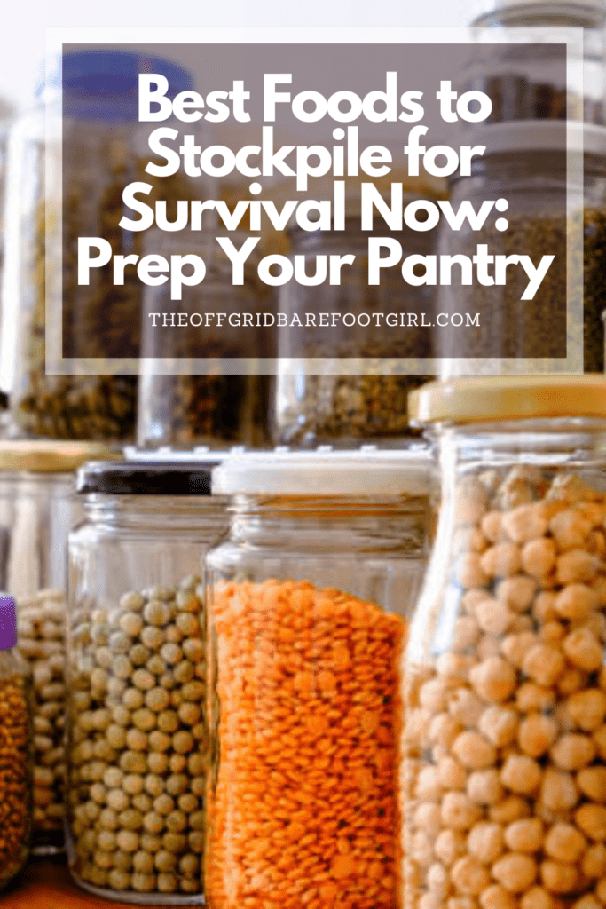 Image illustrates a Pinterest pin of food for the best foods to stockpile.