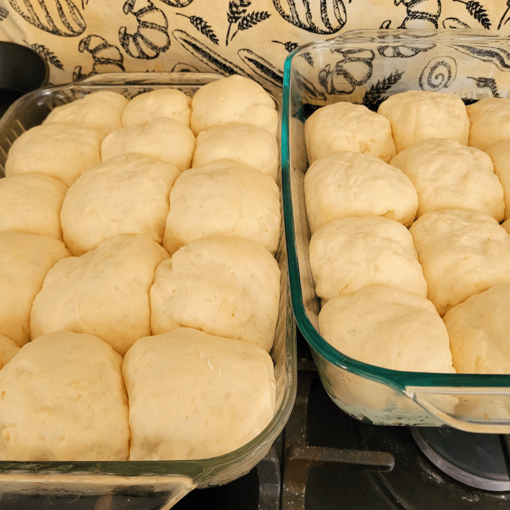 Image illustrates dinner rolls being proofed before baking.