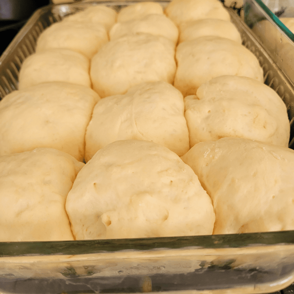 Image illustrates dinner rolls proofing before baking.