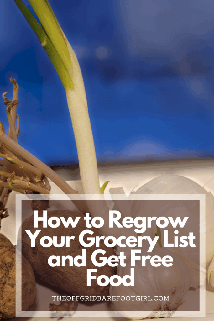 Image illustrates a Pinterest pin of how to regrow your grocery list.