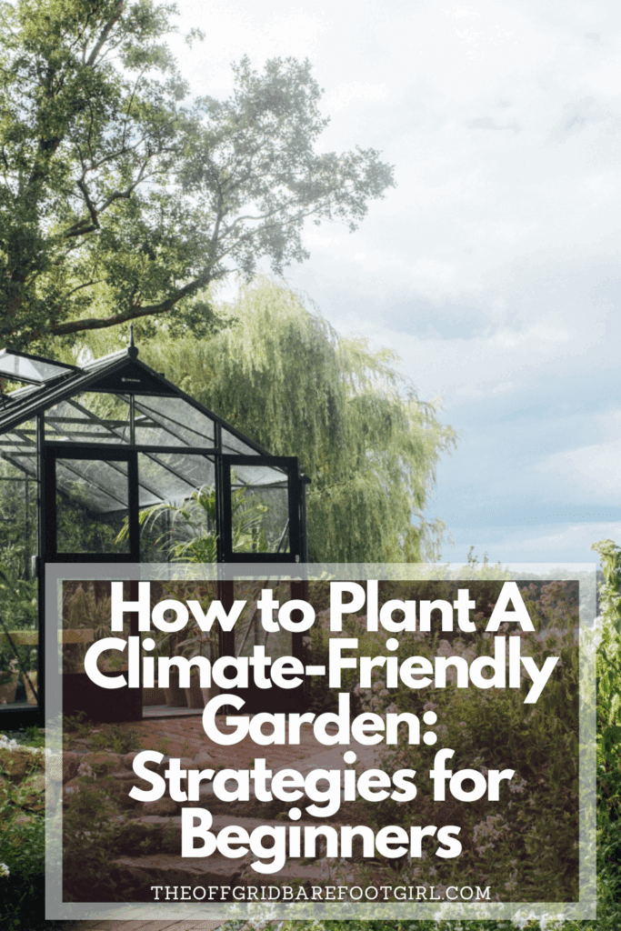 Image illustrates a greenhouse for a climate friendly garden.