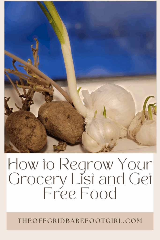 Image illustrates a Pinterest pin of how to regrow your grocery list.
