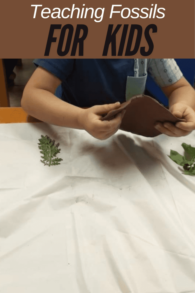 Image illustrates teaching fossils to kids.