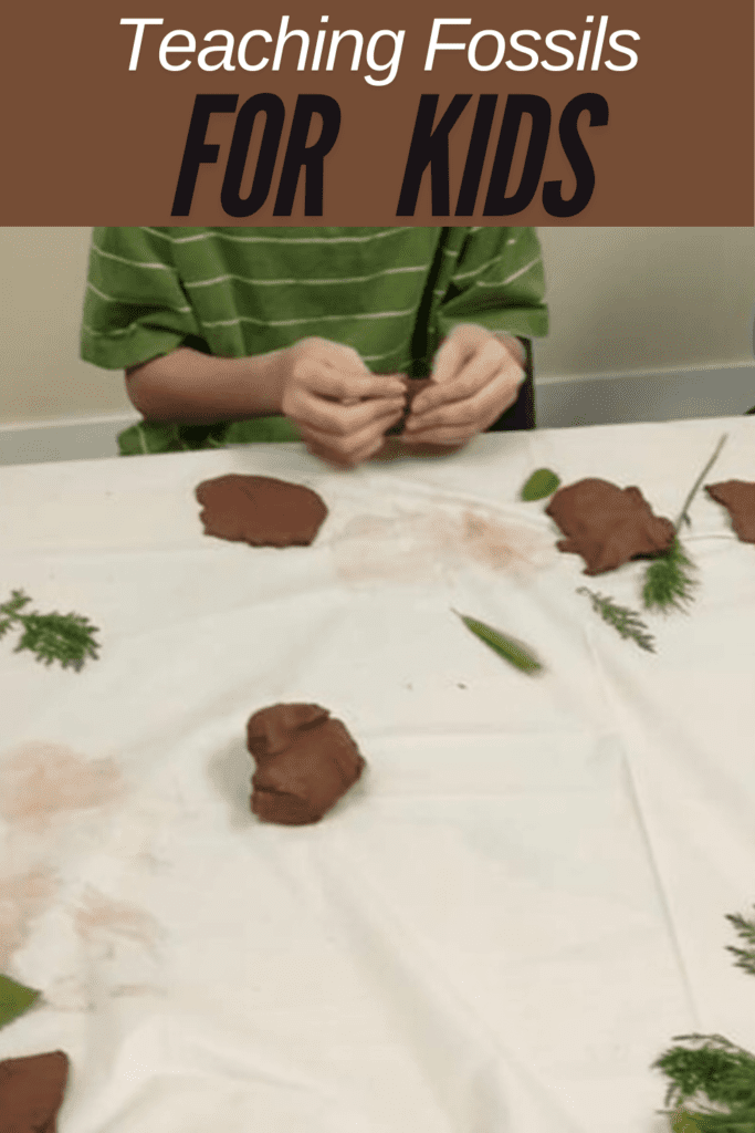 Image illustrates teaching fossils to kids.