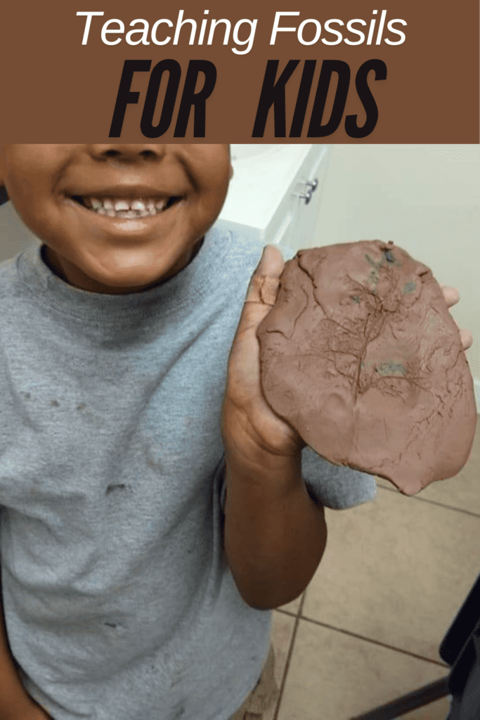 Image illustrates teaching fossils to kids.