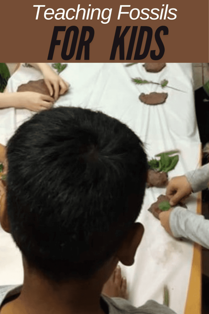 Image illustrates teaching fossils to kids.