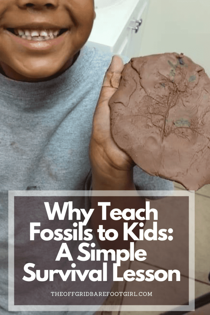 Image illustrates a Pinterest pin of teaching fossils to kids.