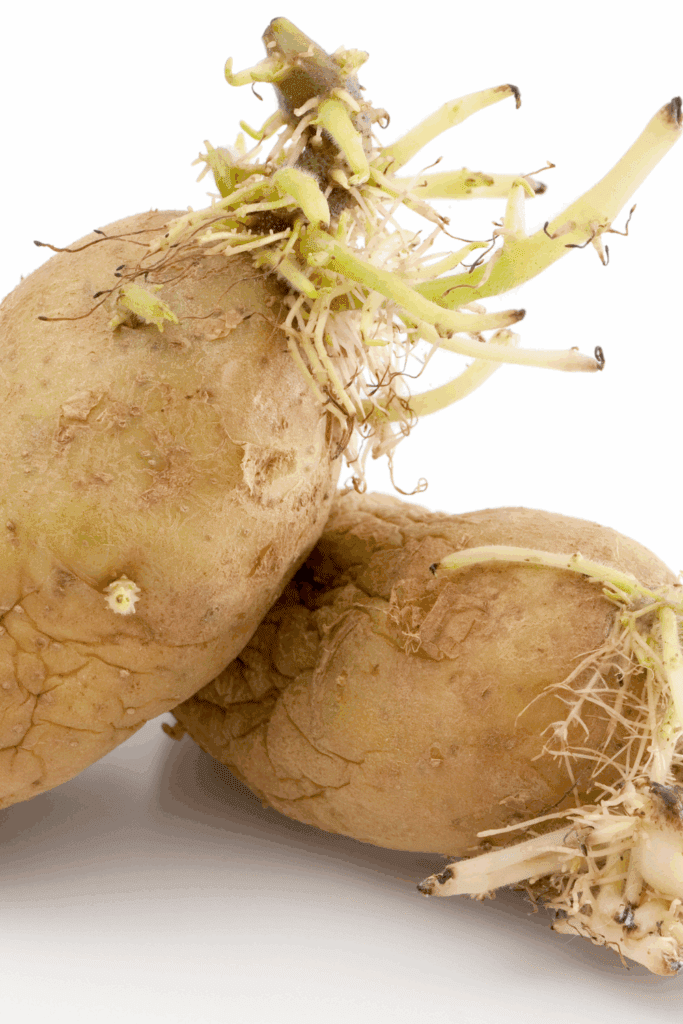 Image illustrates how to regrow your grocery list with potatoes.