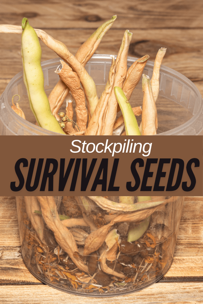 Image illustrates survival seed.