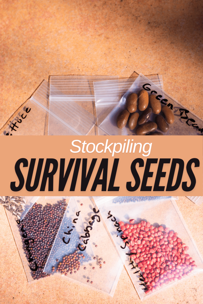 Image illustrates survival seed.