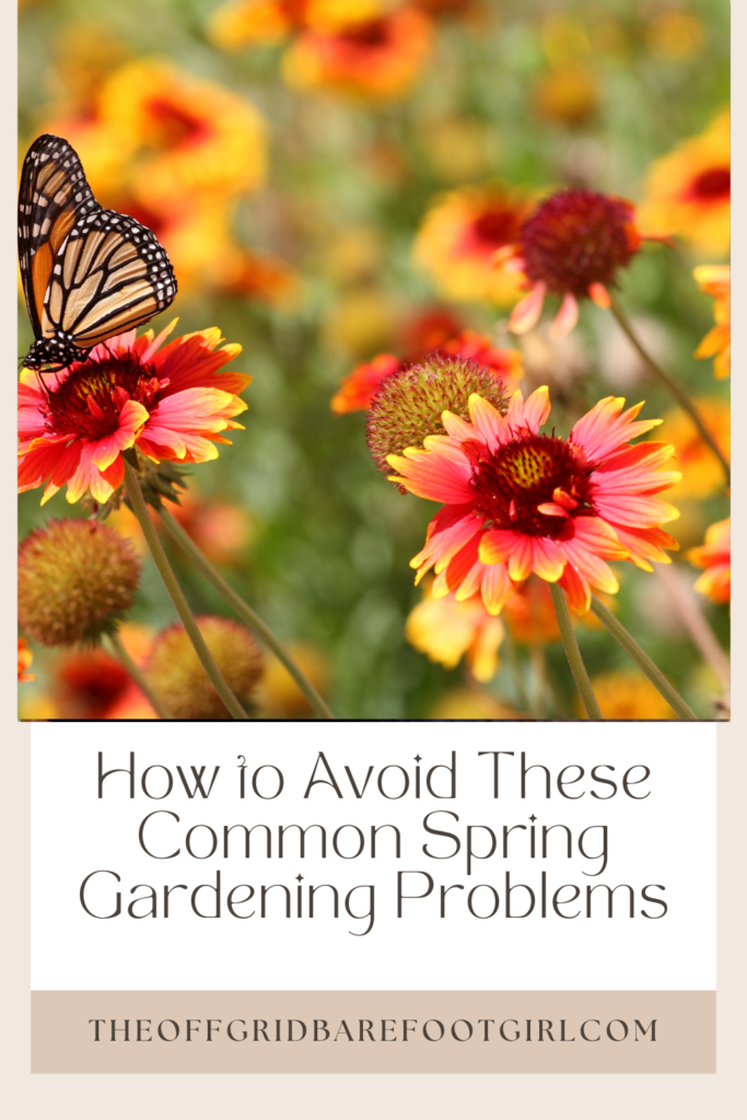 Image illustrates spring gardening problems.