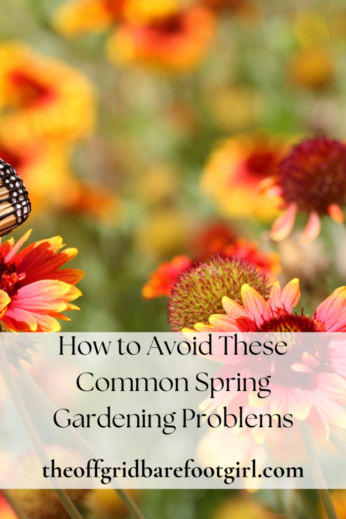 Image illustrates spring gardening problems.