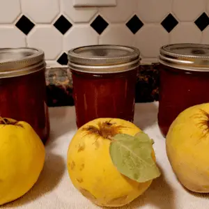 How to Can a Year’s Supply of Quince Jam