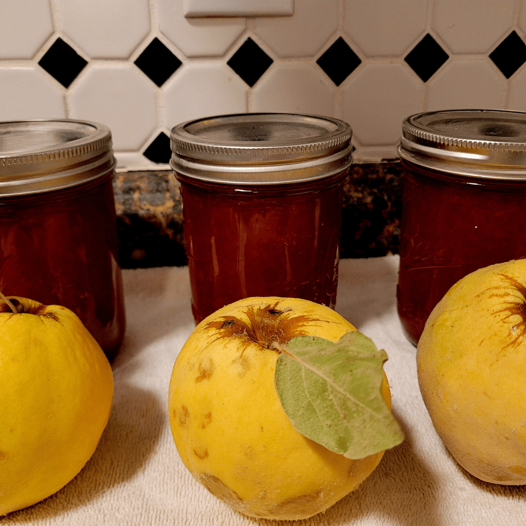 quince jam
