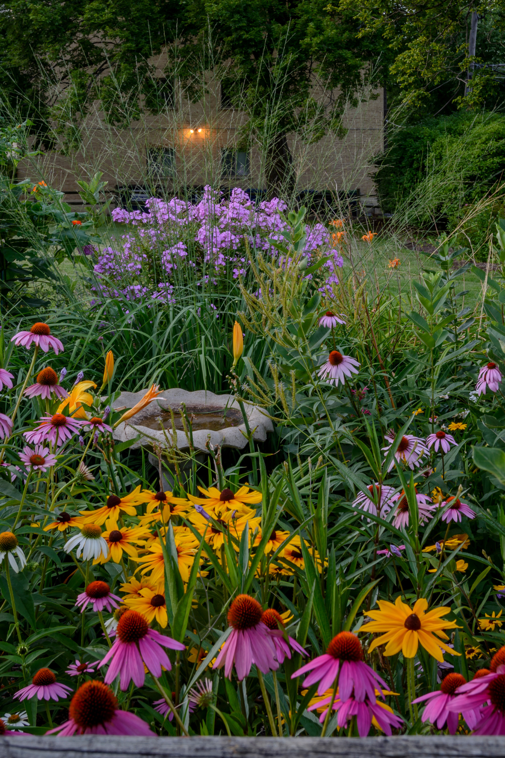 Image illustrates a foodscape garden for companion planting.