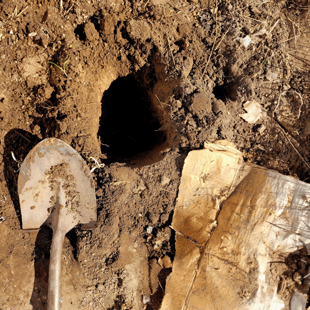 Image illustrates a hole in the garden for how to perform the earthworm soil test.