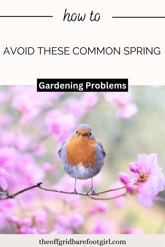 spring gardening problems