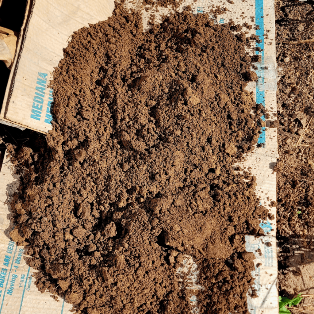 Image illustrates soil in the garden for how to perform the earthworm soil test.