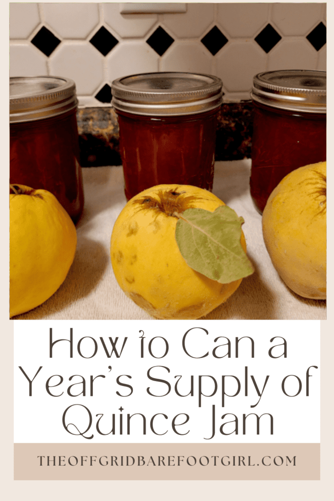 Image illustrates a Pinterest pin of quince jam.