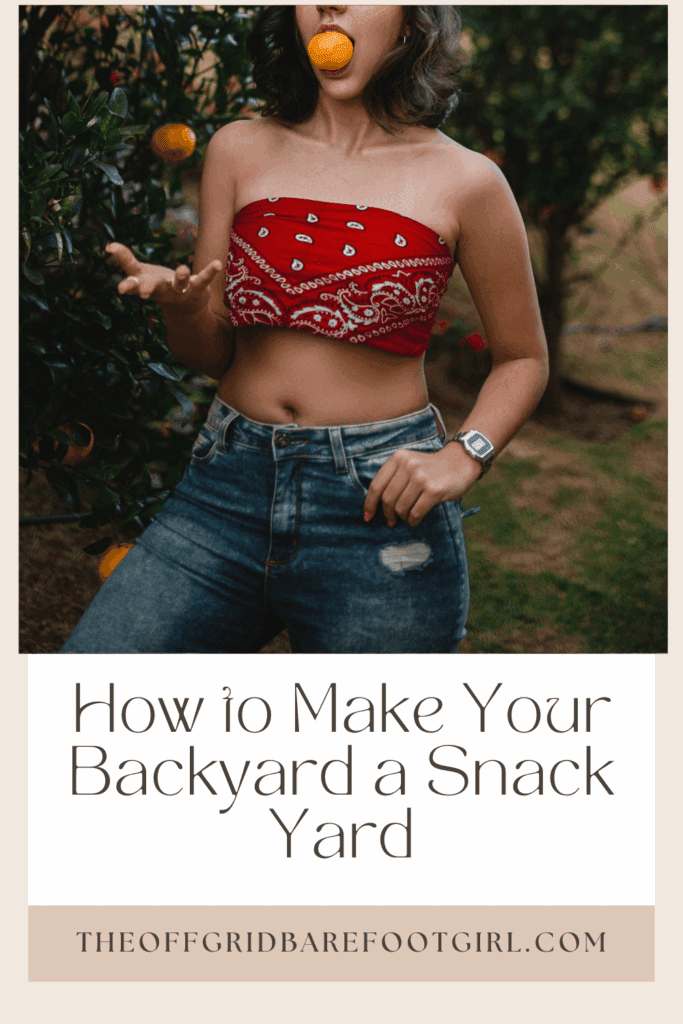Image illustrates a Pinterest pin of how to turn your backyard into a snack yard.