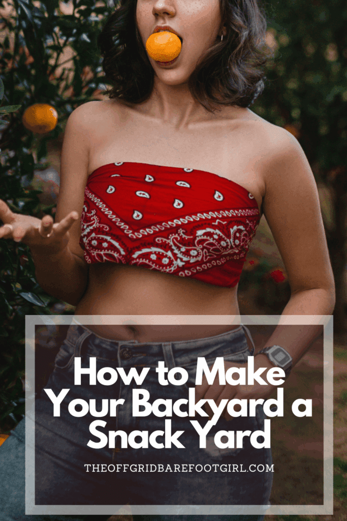Image illustrates a Pinterest pin of how to turn your backyard into a snack yard.