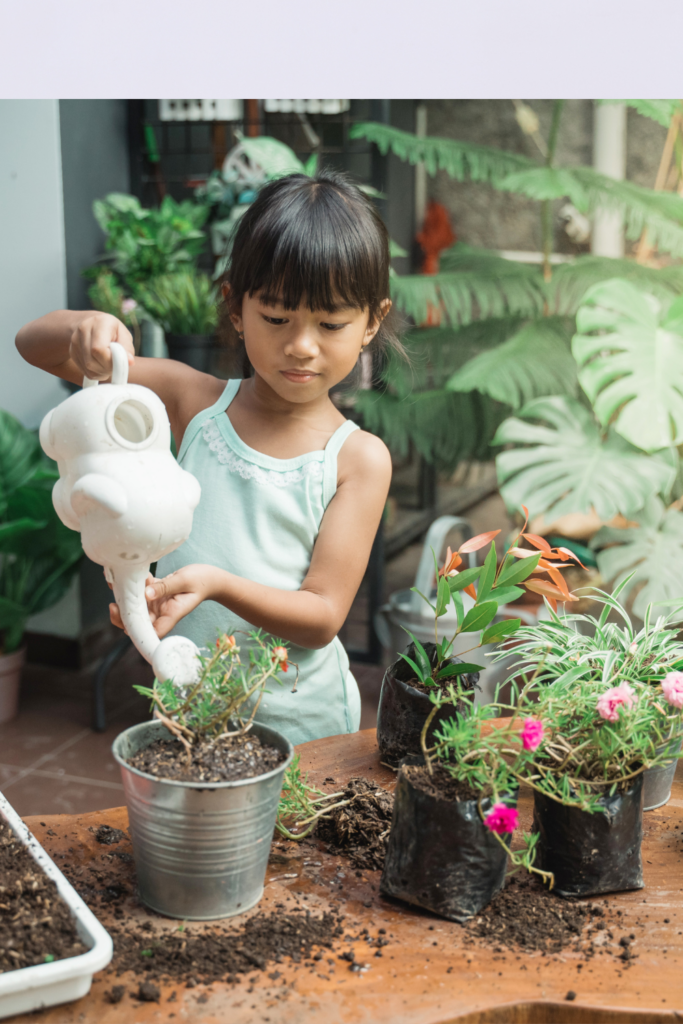 Image illustrates garden grow kits for kids.