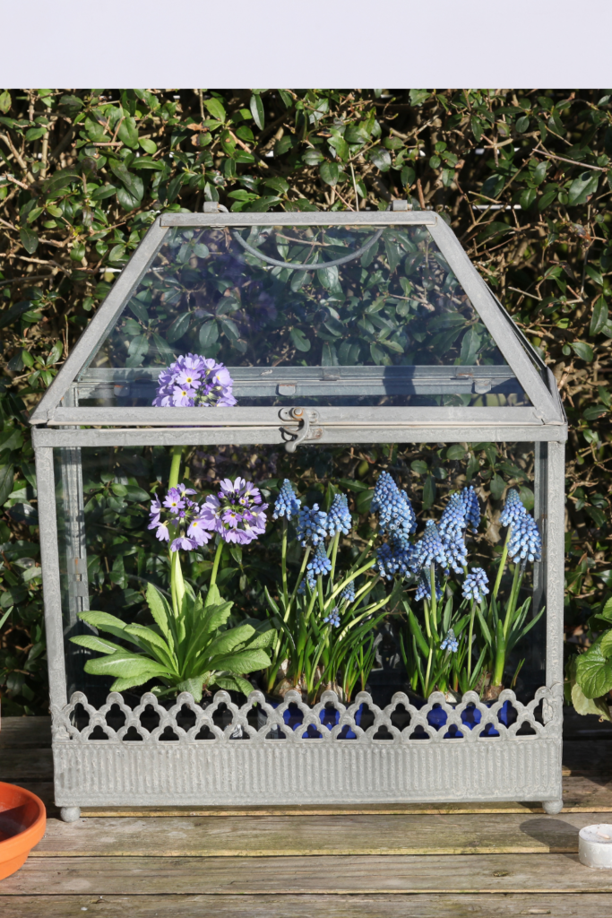 Image illustrates garden grow kits for kids.