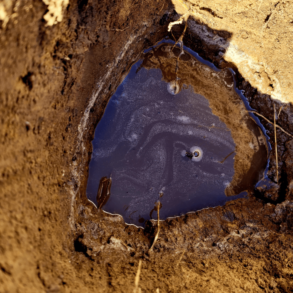 Image illustrates a hole in the garden with water for for DIY garden soil tests you can perform.