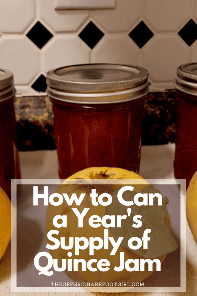 Image illustrates a Pinterest pin of quince jam.