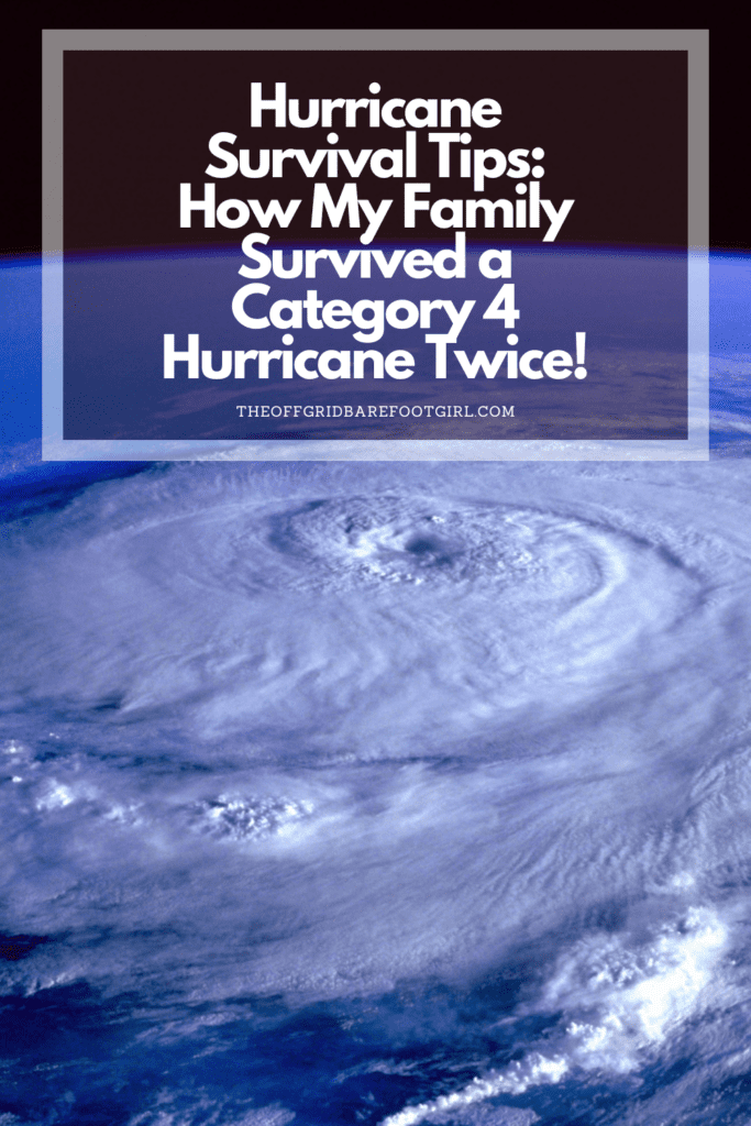 Image illustrates a Pinterest pin of hurricane survival tips. 