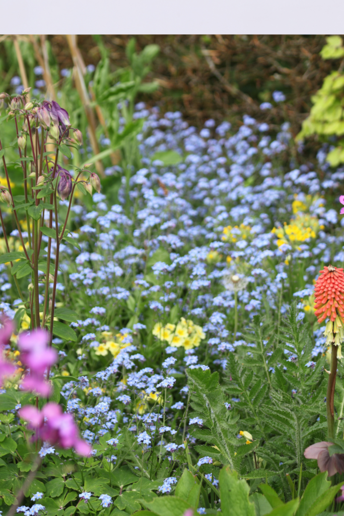 Image illustrates how to design a cottage garden.