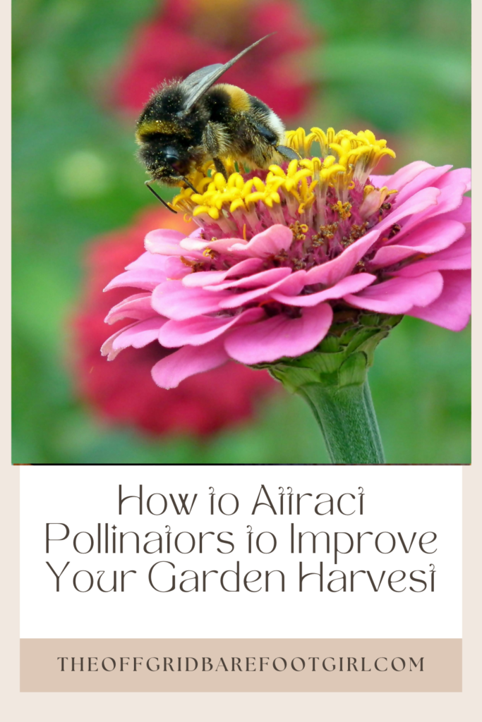 Image illustrates how to attract pollinators to improve harvest.