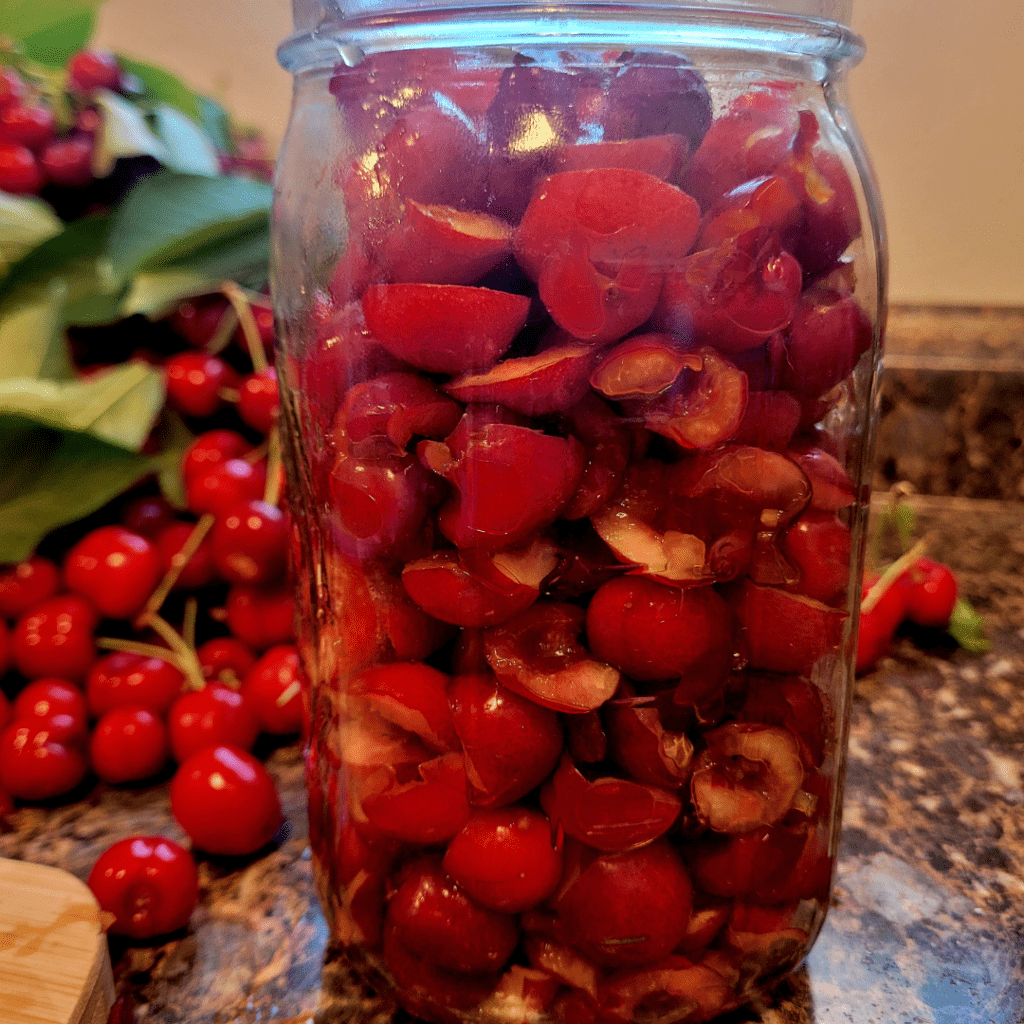 Image illustrates cherries.