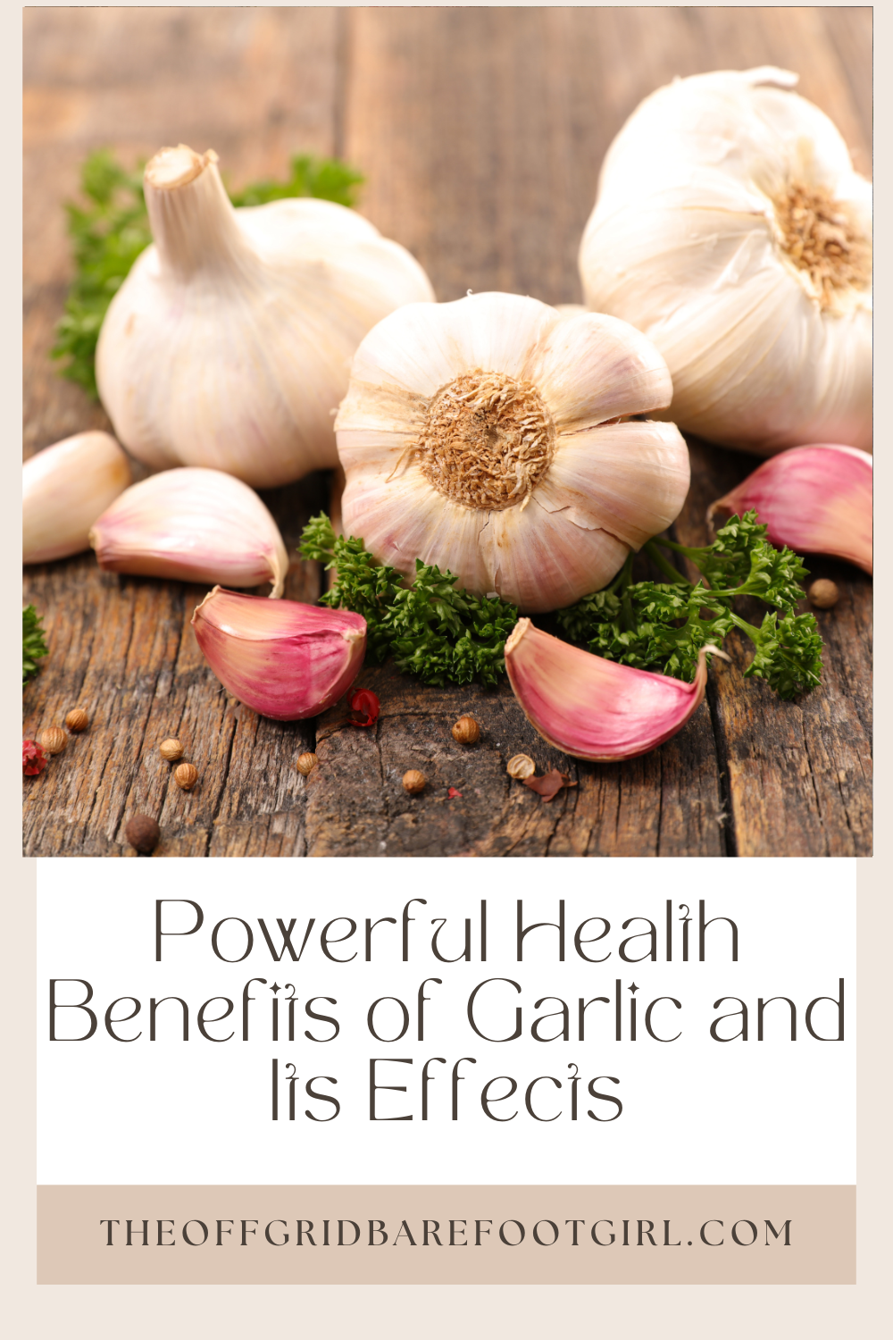 Image illustrates a Pinterest pin of health benefits of garlic.