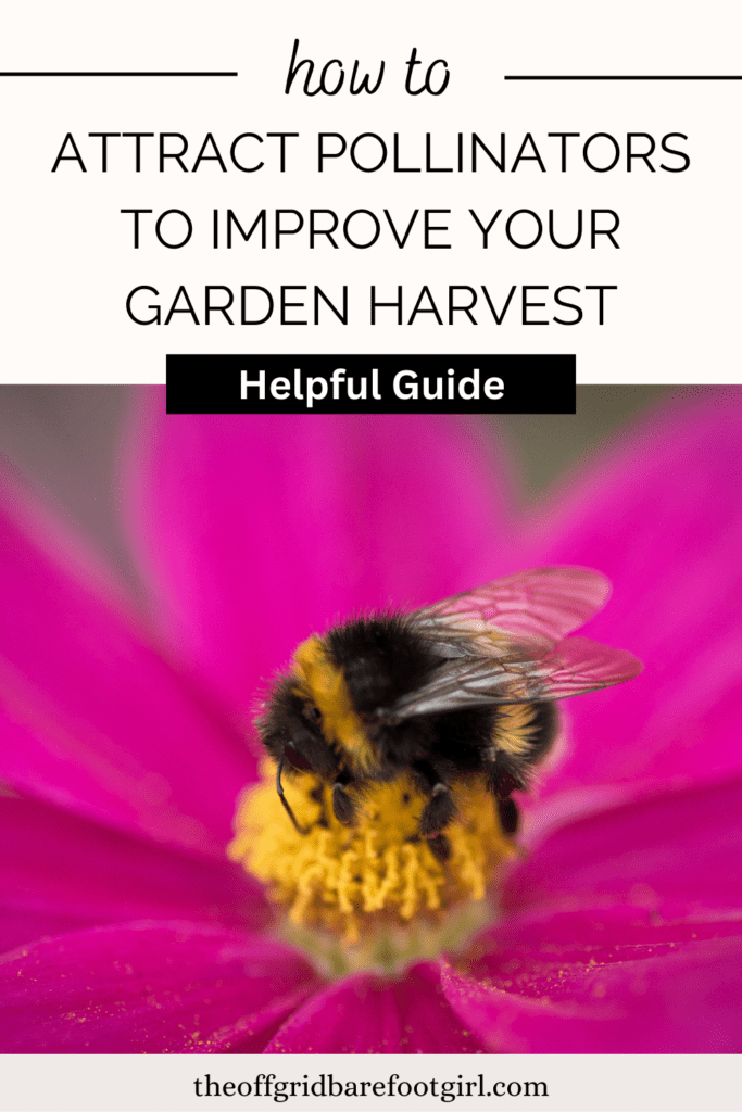 attract pollinators to improve harvest