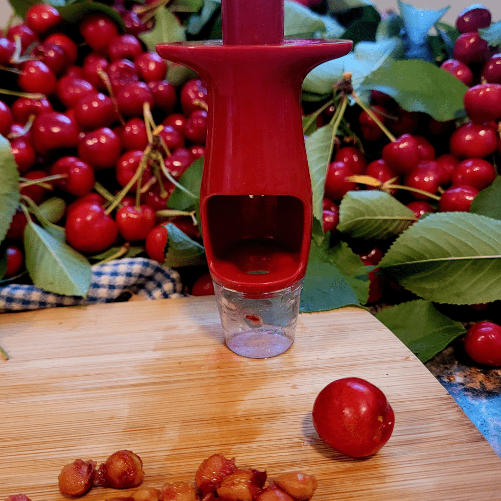 Image illustrates cherries.