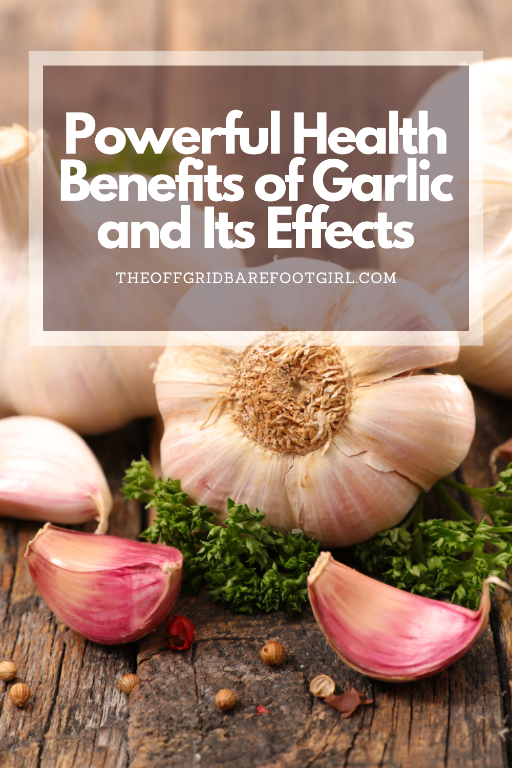 Image illustrates a Pinterest pin of health benefits of garlic.