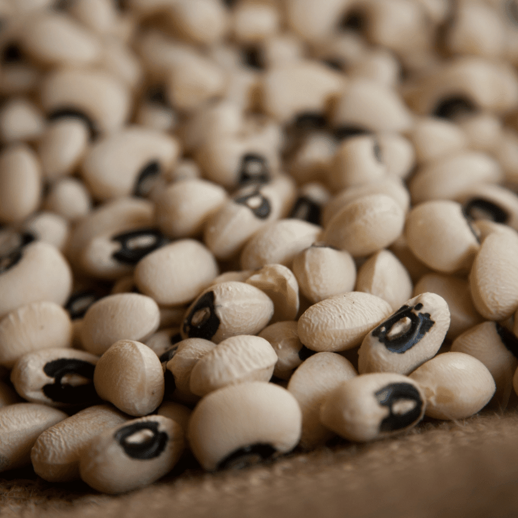 Image illustrates foods that last forever like beans.