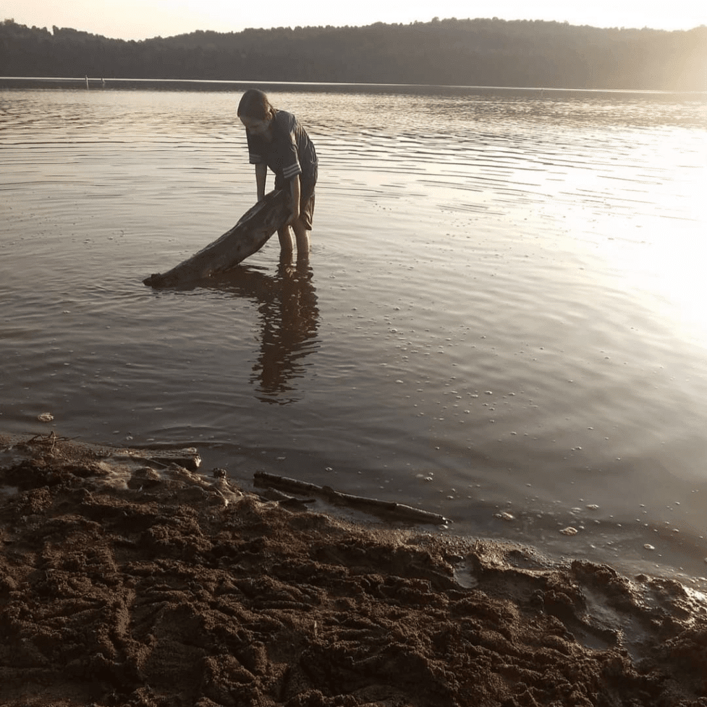 Image illustrates free summer boredom busters for kids like the river, beach, and lake swimming.