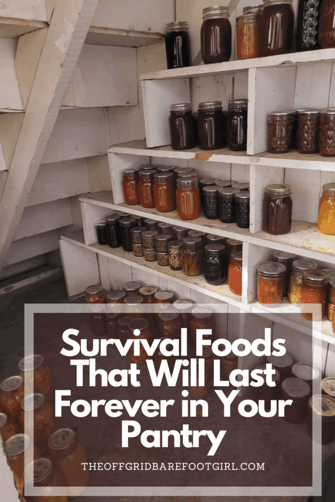 Image illustrates a Pinterest pin of foods that last forever.