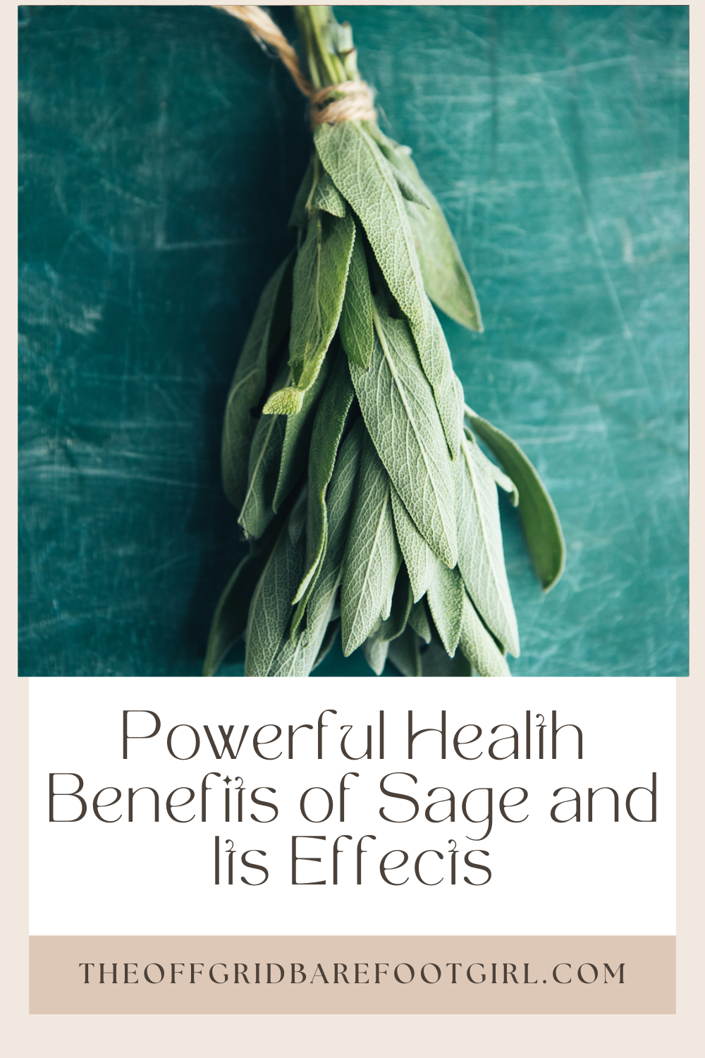Image illustrates a Pinterest pin of sage demonstrating the health benefits of sage.