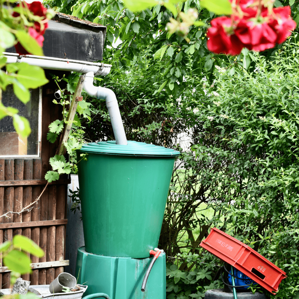 Image illustrates self-sufficient skills.